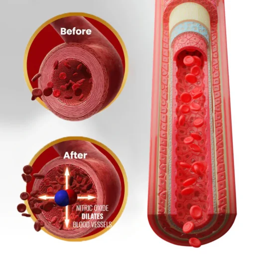 Oveallgo® NanoLipo HardX Performance Ampoules Prox - Image 3