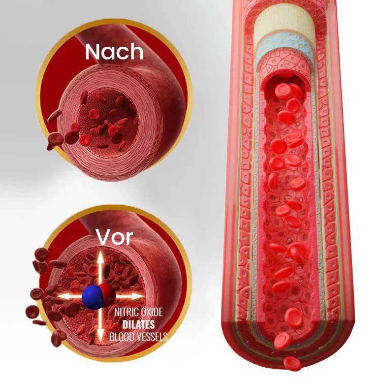 Oveallgo® NanoLipo HardX Performance Ampullen Pro - Image 2