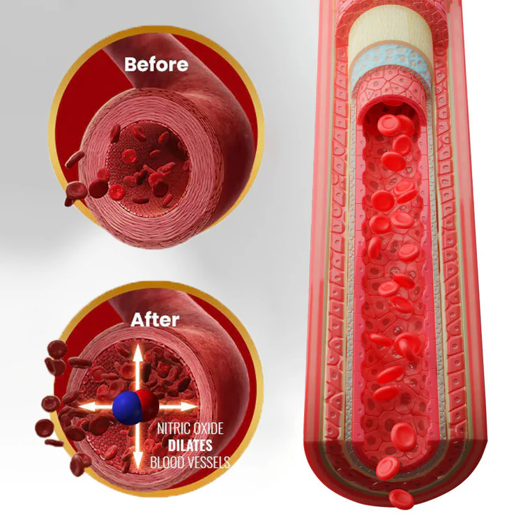 Oveallgo® Maca Root HARDER Performance Ampoules - Image 3